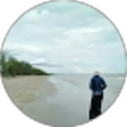 Review From Zerly Surya (ZERLY S A)