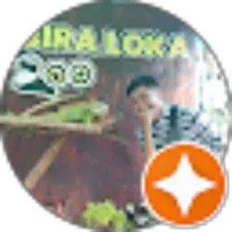 Review From Dwi Cahya