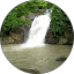 Review From Suwito Wito84
