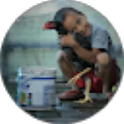 Review From Rizky wan