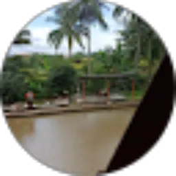 Review From Ichsan Nurdiansyah