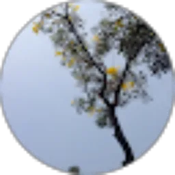 Review From jaroh bonham