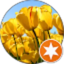 Review From Rosa Ria