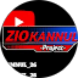 Review From Zio project