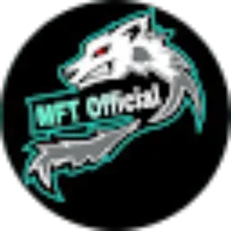 Review From MFT Official