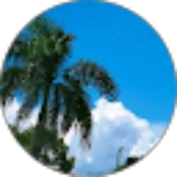Review From Yemima Raveena Widodo