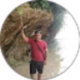 Review From Muhamad Alinuriman