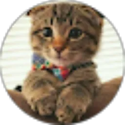 Review From Mira