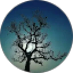 Review From Ordinary People