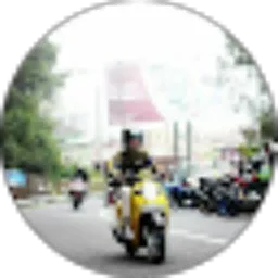 Review From Ari Widodo