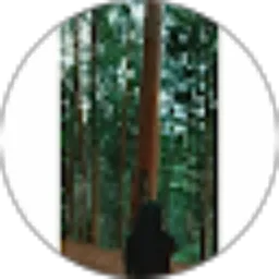 Review From Risty Ana