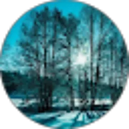 Review From Mr Pocket