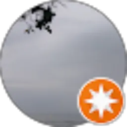 Review From supatman