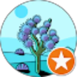 Review From BM