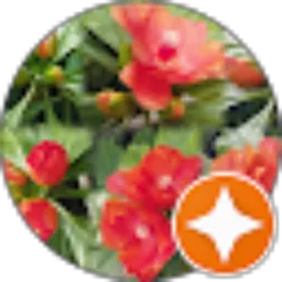 Review From Rizsaniy 87