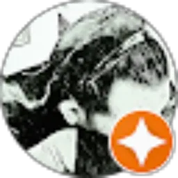 Review From Renno Grunge