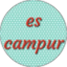 Review From es campur