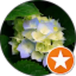 Review From Yusuf Hamundu