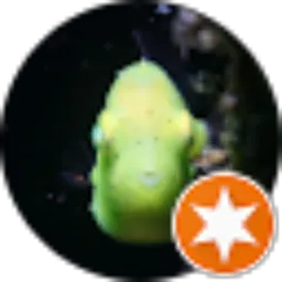 Review From Tulamben Scuba Dive