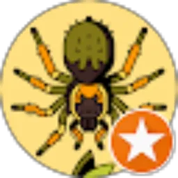 Review From ULUVUS