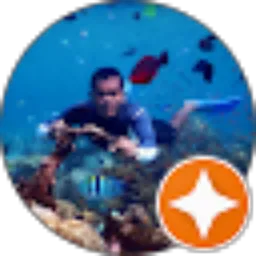 Review From Adi son