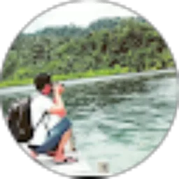 Review From Dani Dn