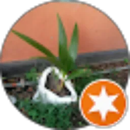Review From Telegram Hackerr