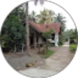 Review From Ai hen hen Hernawati