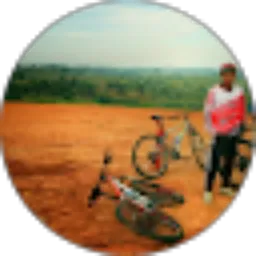 Review From Setio Wibowo
