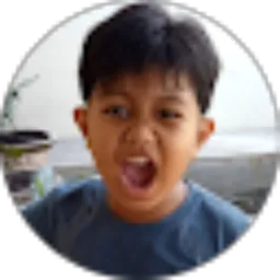 Review From Ade Arismunandar