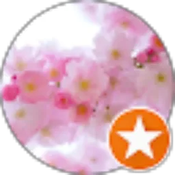 Review From Alisha Nova Amalia