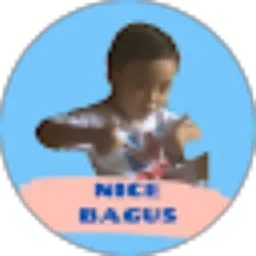 Review From nice bagus