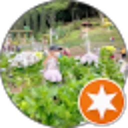 Review From Mey 21