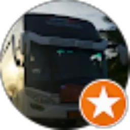 Review From Alvi busmania