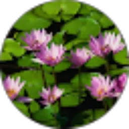 Review From Jon Indra