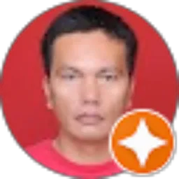 Review From Herman P Sihombing