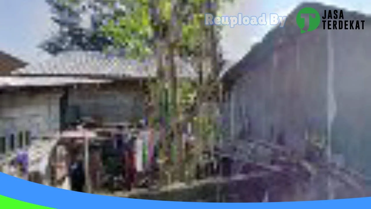 Gambar buwun sejati di Lombok Utara, Nusa Tenggara Barat ke 4